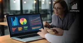datawranglingmasteringdatapreparationandanalysisenglish Thumbnail