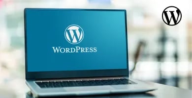 WordPress in Hindi Thumbnail